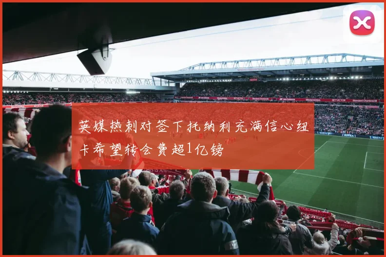 英媒热刺对签下托纳利充满信心纽卡希望转会费超1亿镑
